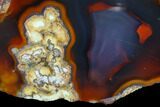 Beautiful Condor Agate From Argentina - Cut/Polished Face #79593-1